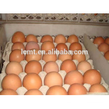 Bandeja de papel de vendas diretas de fábrica 30 bandeja de ovos